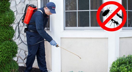 Kozluk Hamam Böceği İlaçlama böcek ilaçlama ve haşere kontrolü — ilaclama-tr.com